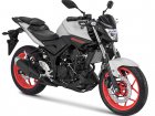 Yamaha MT 25